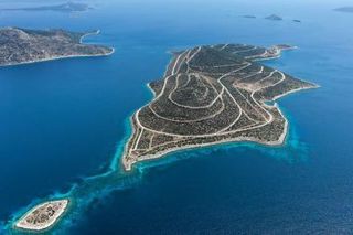 Νησί 12.000 τ.μ. πρός πώληση, Εύβοια, Στύρα-thumb-5