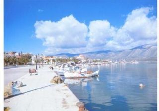 Οικόπεδο 18.000 τ.μ. για πώληση, Αργολίδα, Κρανίδι-thumb-4