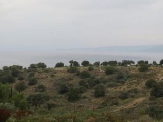 Οικόπεδο 18.000 τ.μ. για πώληση, Αργολίδα, Κρανίδι-thumb-5