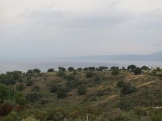 Οικόπεδο 18.000 τ.μ. για πώληση, Αργολίδα, Κρανίδι-thumb-6