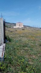 Αγροτεμάχια 2.000 τ.μ. για ενοικίαση, Κορινθία, Σικυώνα-thumb-1
