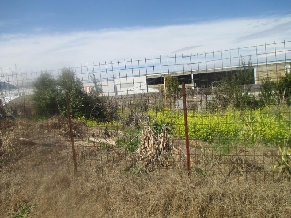 Αγροτεμάχια 165 τ.μ. προς πώληση, Αχαρνές