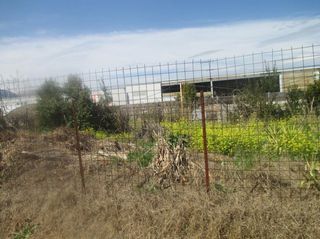 Αγροτεμάχια 165 τ.μ. προς πώληση