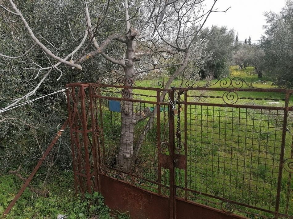 Οικόπεδο 290 τ.μ. προς πώληση, Μαρούσι