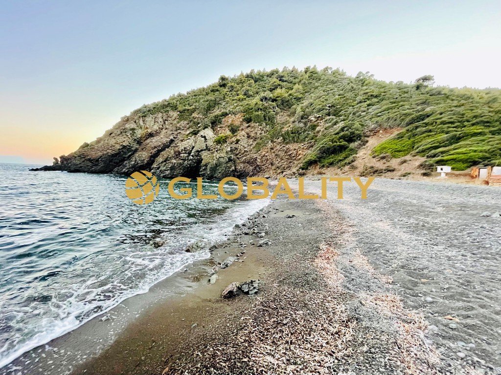 Οικόπεδο 34.805 τ.μ. προς πώληση, Παλλήνη Χαλκιδικής