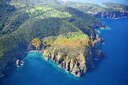 Οικόπεδο 34.805 τ.μ. για πώληση, Χαλκιδική, Παλλήνη