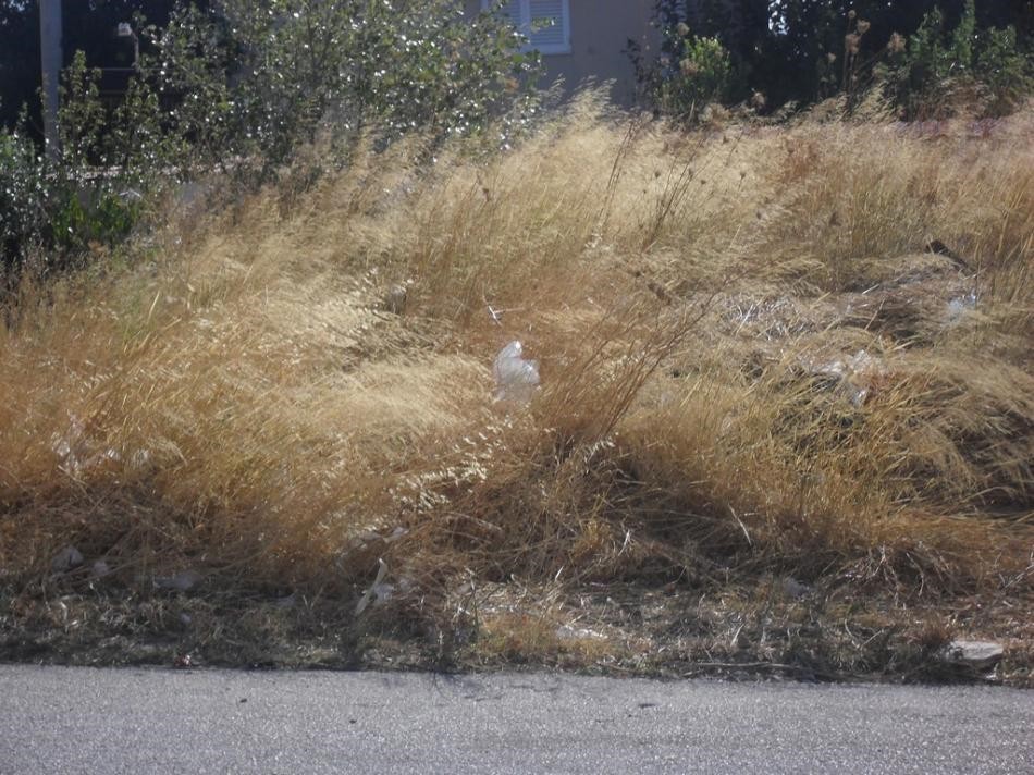 Αγροτεμάχια 203 τ.μ. προς πώληση, Μεγάλα Σχοινία Β
