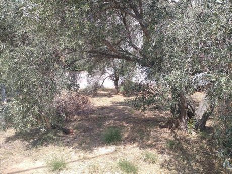 Land plot 197sqm for sale-Acharnes