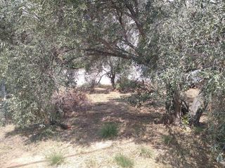 Οικόπεδο 197 τ.μ. προς πώληση