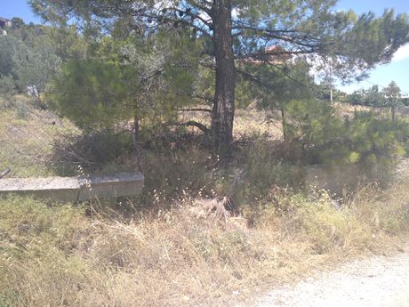Parcel 411sqm for sale-Acharnes