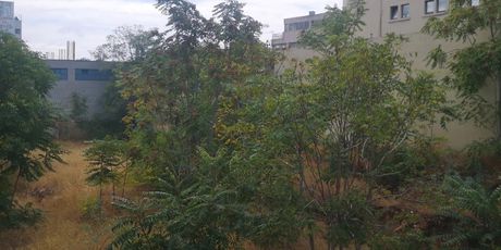 Land plot 1.960sqm for sale-Moschato