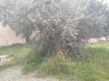 Land plot 497sqm for sale-Ano Liosia