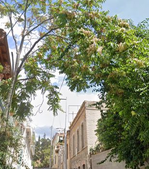 Land plot 382,5sqm for sale-Historic Center