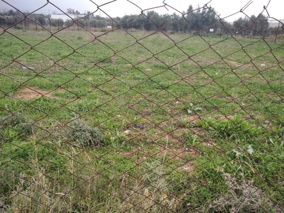 Αγροτεμάχια 3.150 τ.μ. προς πώληση, Αχαρνές