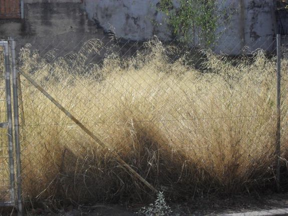 Οικόπεδο 200 τ.μ. για πώληση, Αθήνα - Δυτικά Προάστια, Αχαρνές