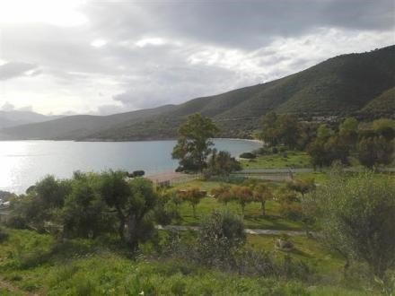 Οικόπεδο 45.000 τ.μ. πρός πώληση, Αιτωλοακαρνανία, Κεκροπία (παλαίρου)