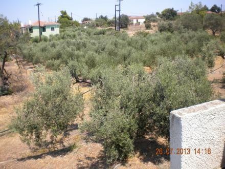 Μονοκατοικία 320 τ.μ. προς πώληση, Ερμιόνη