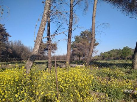 Parcel 4.296sqm for sale-Acharnes