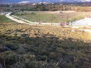 Οικόπεδο 4.000 τ.μ. προς πώληση, Κάρυστος-thumb-5