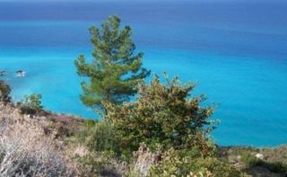 Αγροτεμάχια 11.209 τ.μ. για πώληση, Ν. Λευκάδας, Λευκάδα-thumb-9