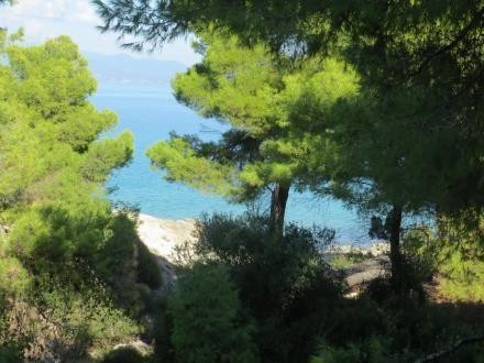 Οικόπεδο 1.042 τ.μ. προς πώληση, Μαλεσίνα Φθιώτιδας