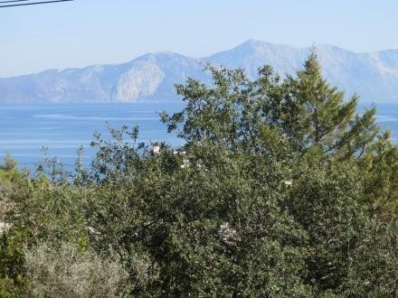 Οικόπεδο 1.042 τ.μ. προς πώληση, Μαλεσίνα Φθιώτιδας