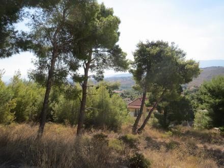 Οικόπεδο 507 τ.μ. προς πώληση, Πικέρμι