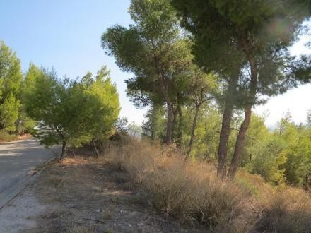 Οικόπεδο 507 τ.μ. προς πώληση, Πικέρμι