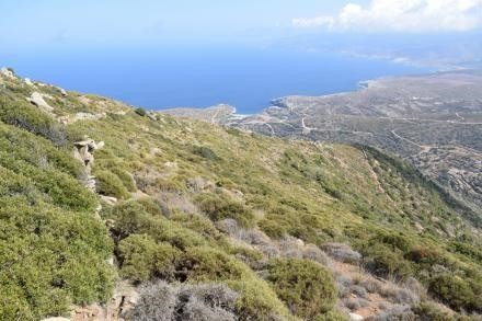 Αγροτεμάχια 36.250 τ.μ. προς πώληση, Άνδρος