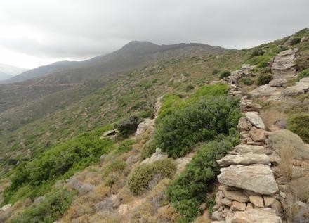 Αγροτεμάχια 36.250 τ.μ. προς πώληση, Άνδρος