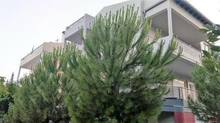 Maisonette 300sqm for sale-Vrilissia