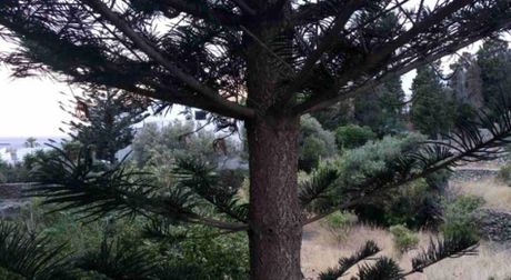 Οικόπεδο 1.821τ.μ. για πώληση-Τήνος