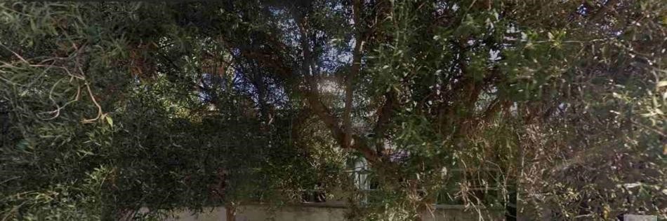 Οικόπεδο 400 τ.μ. πρός πώληση, Αθήνα - Κέντρο, Αμπελόκηποι - Πεντάγωνο