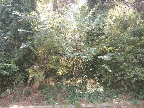 Οικόπεδο 2.020τ.μ. για πώληση-Αχαρνές