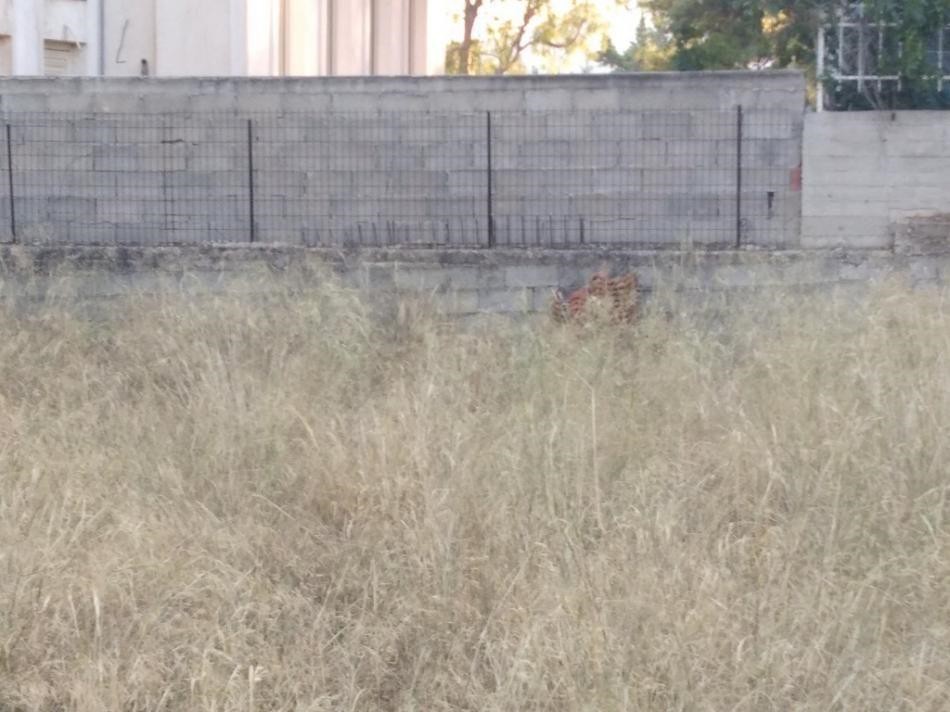 Οικόπεδο 230 τ.μ. προς πώληση, Μπόσκιζα