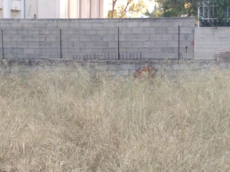 Οικόπεδο 230τ.μ. για πώληση-Αχαρνές