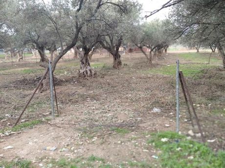 Parcel 10.200sqm for sale-Acharnes