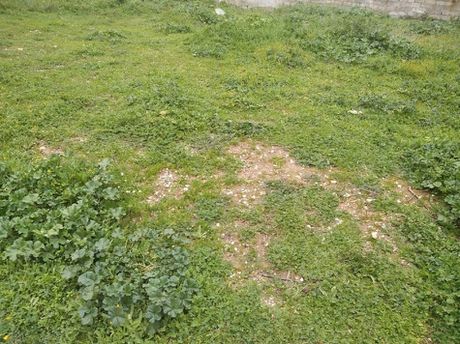 Land plot 341sqm for sale-Acharnes