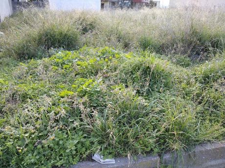 Land plot 285sqm for sale-Acharnes