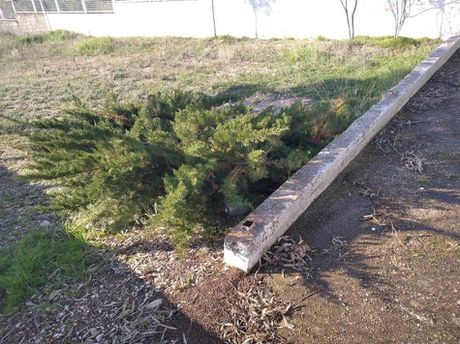 Parcel 254sqm for sale-Acharnes