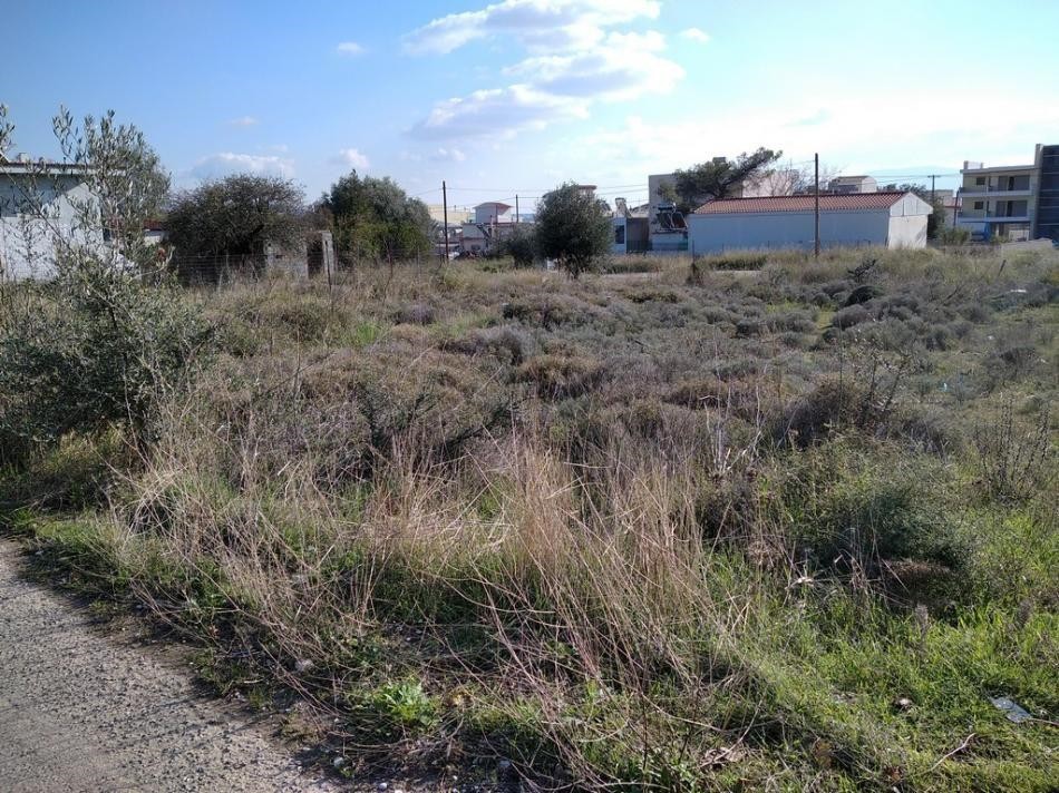 Αγροτεμάχια 489 τ.μ. προς πώληση, Αχαρνές