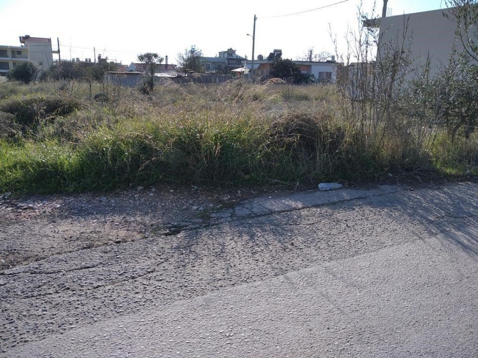 Αγροτεμάχια 489 τ.μ. προς πώληση, Αχαρνές