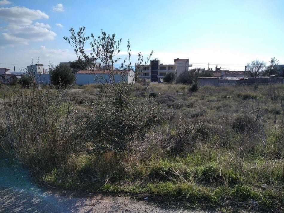 Αγροτεμάχια 489 τ.μ. προς πώληση, Αχαρνές