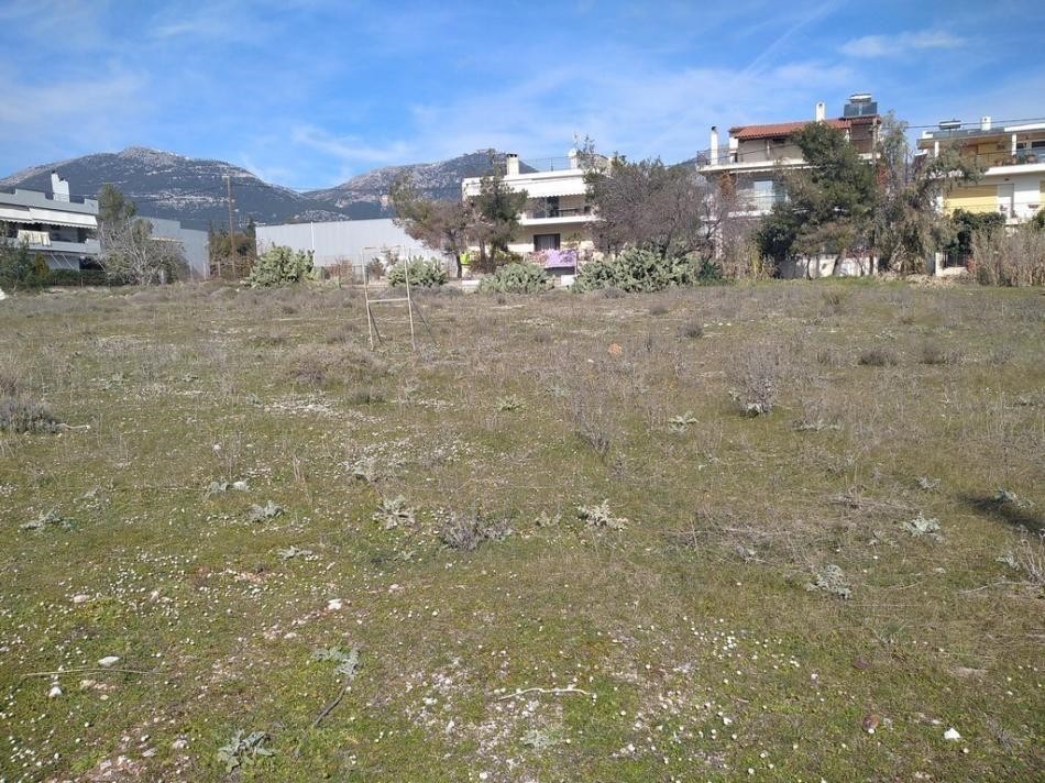 Οικόπεδο 2.417 τ.μ. προς πώληση, Μεγάλα Σχοινία Α