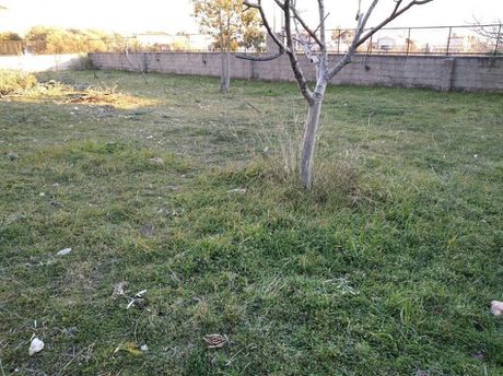 Land plot 385sqm for sale-Acharnes