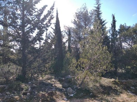 Parcel 638sqm for sale-Acharnes