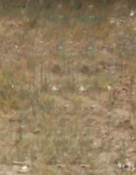 Land plot 7.500sqm for sale-Acharnes