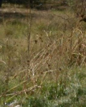 Land plot 7.500sqm for sale-Acharnes