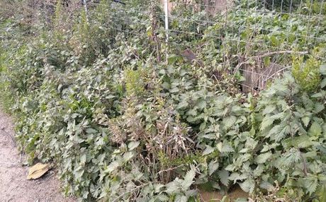 Land plot 565sqm for sale-Acharnes