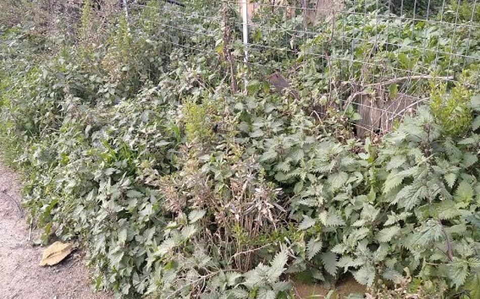 Οικόπεδο 1.165 τ.μ. προς πώληση, Αχαρνές